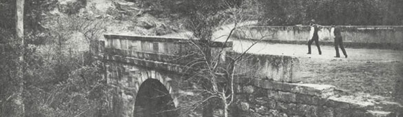 Lennox Bridge, 1870. Digital ID 17420_a014_a014001361